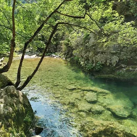 3 Dans Villa, Jardin Et Piscine Privatifs アパート Mandelieu
